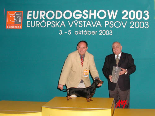 EUJCH Maricture Moliere - European Dog Show 2003 -Bratislava European Jugend Champion ,BOB,BOG -Junior  Best in Show  Judge: Martínez M. A. (Arg)
