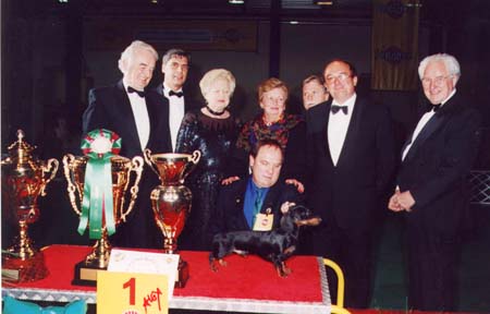WCH Grandgables Dream Come True -  Champion Show Budapest 2001  - Dog of the Year 2001,  Best in Show 