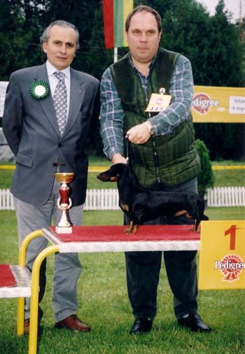 WCH Grandgables Dream Come True - Kecskemét CACIB Show - Best of Group judge: Nicola Arini (I)