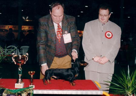 WCH Grandgables Dream Come True -  Budapest Derby Show - Best of Group ,- Judge: Korózs Gábor (Hu)