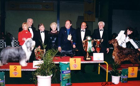 WCH Grandgables Dream Come True -  Champion Show Budapest 2001  - Dog of the Year 2001,  Best in Show - Judge: 