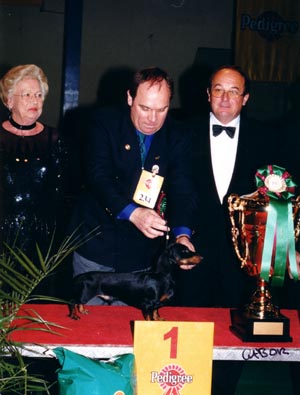 WCH Grandgables Dream Come True -  Champion Show Budapest 2001  - Dog of the Year 2001,  Best in Show - 