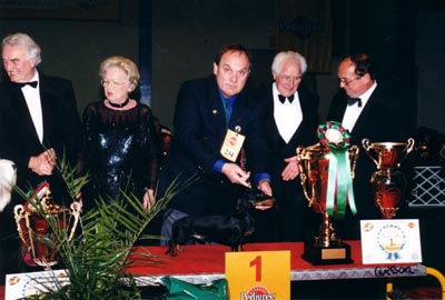 WCH Grandgables Dream Come True -  Champion Show Budapest 2001  - Dog of the Year 2001,  Best in Show 