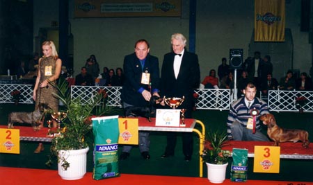 WCH Grandgables Dream Come True -  Champion Show Budapest 2001  - Dog of the Year 2001,  Best in Show 