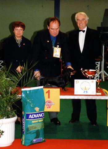 WCH Grandgables Dream Come True -  Champion Show Budapest 2001  - Dog of the Year 2001,  Best in Show 