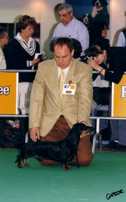 Euch Quasar vom Golf - World Dog Show 2000- Milano