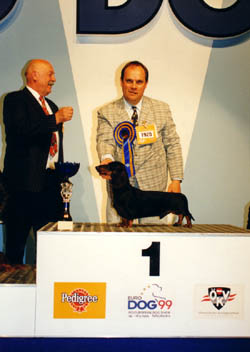 European Dog Show 99' Tulln - Reserve Best in Show