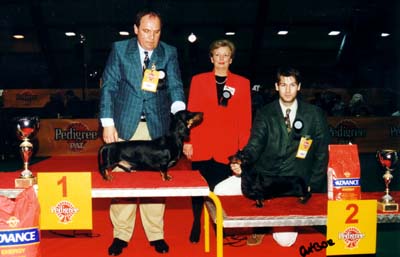 Euch Quasar vom Golf -  CAC SHOW ERD 1997 - Best of Group  --  Res.BOG: Baccara Present vom Golf  miniature smooth Judge: Petik Zsuzsanna (H)