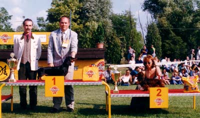 Euch Quasar vom Golf - Kecskemét CACIB Show 1997 - Best of Group ,Best in Show  BOG Judge: Claudio de Giuliani (I)