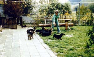 von der Zeckenleiten Kennel - Frau Hella Shelbach with Dachshunds!