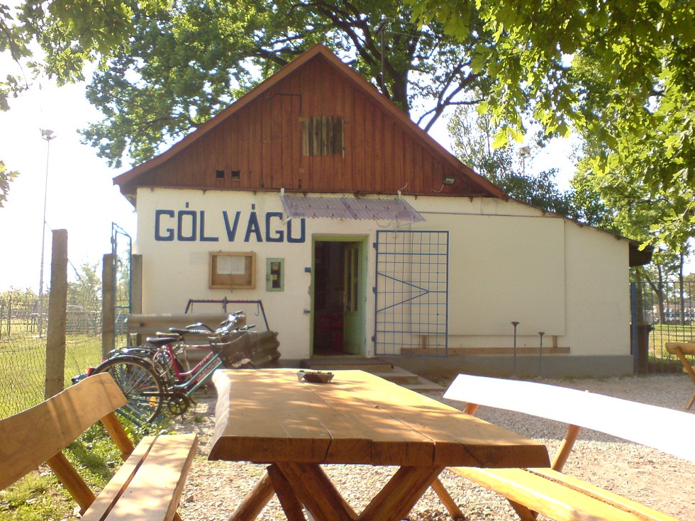 Glvg 2011