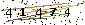 Biztonsági kód