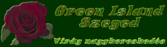 Green Island Szeged Kft