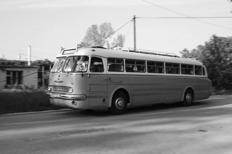 ikarus55_003