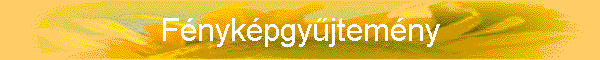F�nyk�pgy�jtem�ny