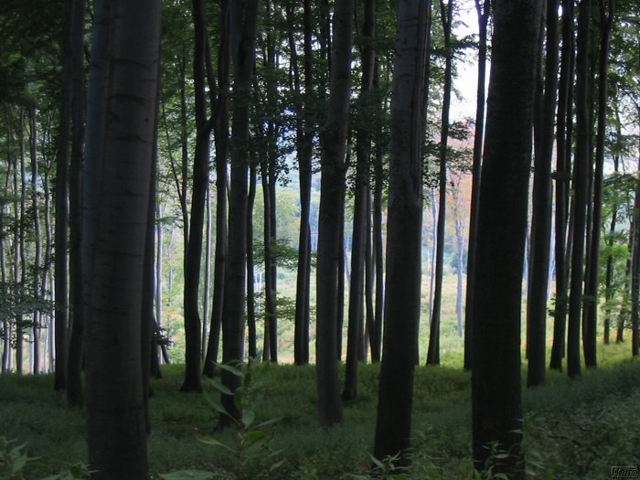 kep 103.jpg