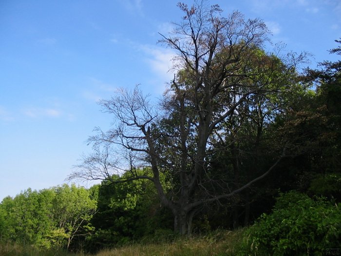 kep 116.jpg