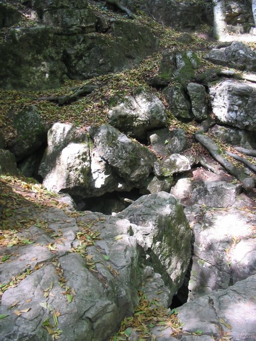 kep 126.jpg