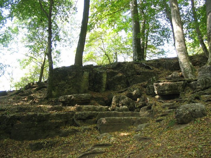kep 129.jpg