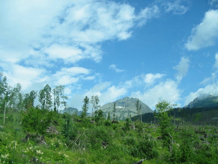 Kp 085.jpg