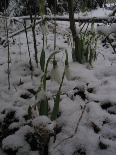 217_1791.JPG