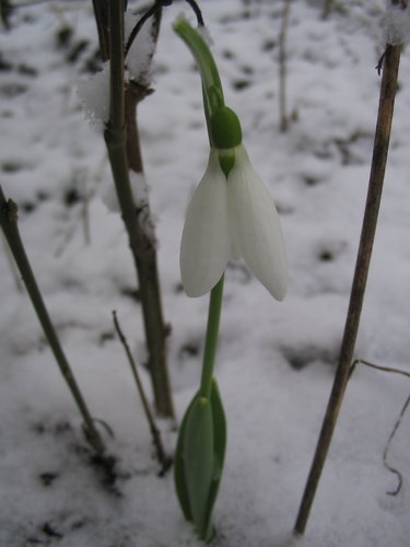 217_1792.JPG