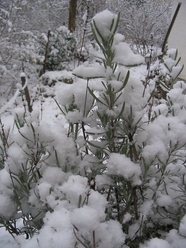 217_1795.JPG