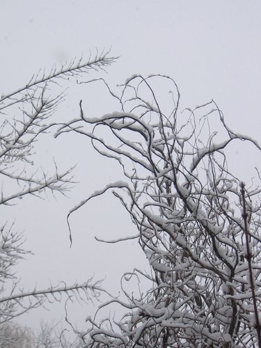 217_1796.JPG