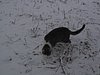 217_1786.JPG