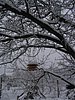 217_1787.JPG
