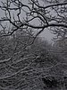 217_1789.JPG