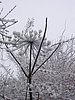 217_1794.JPG