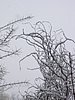 217_1796.JPG