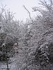 217_1797.JPG
