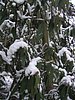 217_1798.JPG