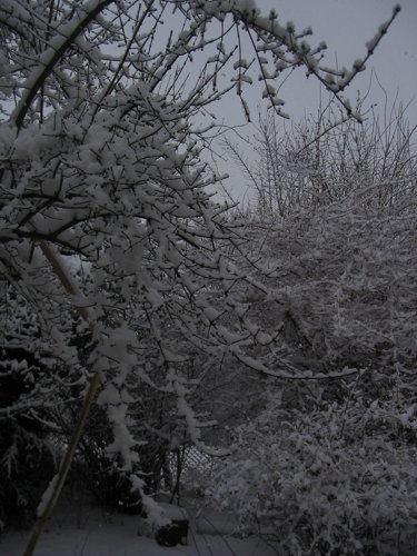 179_7969.JPG