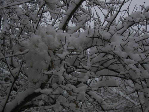 179_7970.JPG
