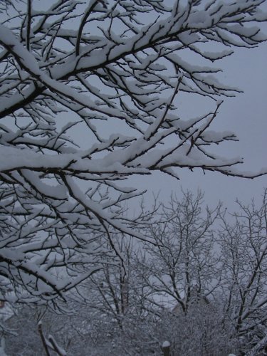 179_7974.JPG