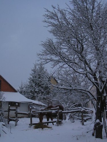 179_7977.JPG