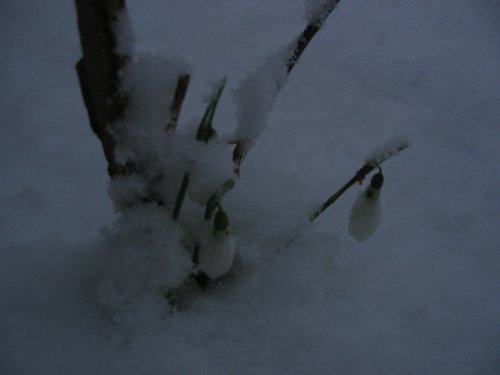 179_7978.JPG