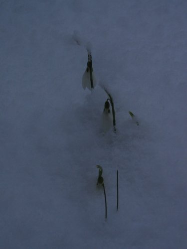 179_7979.JPG
