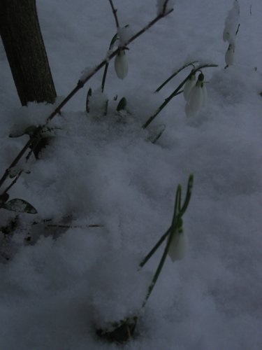 179_7980.JPG