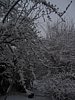 179_7969.JPG