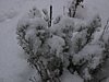 179_7971.JPG