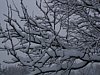179_7973.JPG