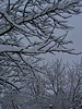179_7974.JPG