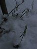 179_7980.JPG
