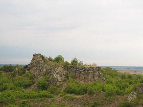 206_0693.JPG