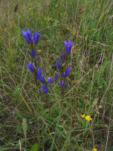 207_0747.JPG