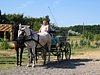 207_0771.JPG